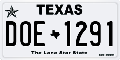 TX license plate DOE1291