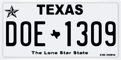 TX license plate DOE1309