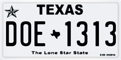TX license plate DOE1313