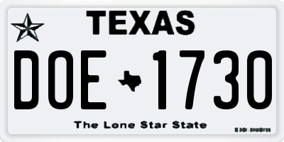 TX license plate DOE1730