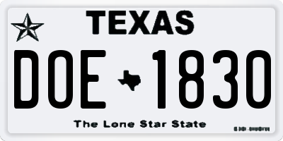 TX license plate DOE1830