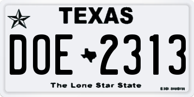 TX license plate DOE2313