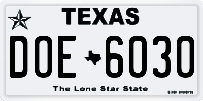 TX license plate DOE6030