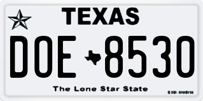 TX license plate DOE8530