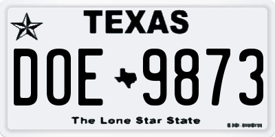 TX license plate DOE9873