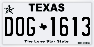 TX license plate DOG1613