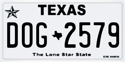 TX license plate DOG2579