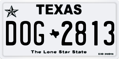TX license plate DOG2813