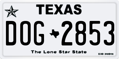 TX license plate DOG2853