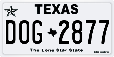 TX license plate DOG2877