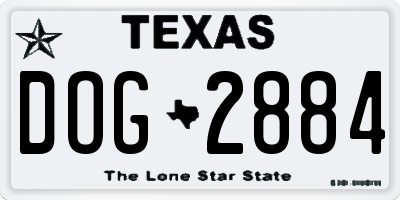 TX license plate DOG2884