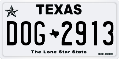 TX license plate DOG2913