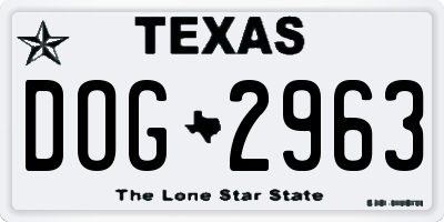 TX license plate DOG2963