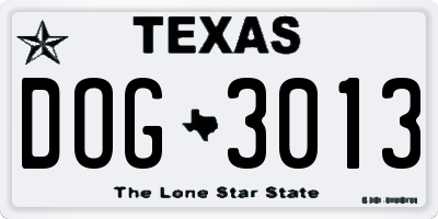 TX license plate DOG3013