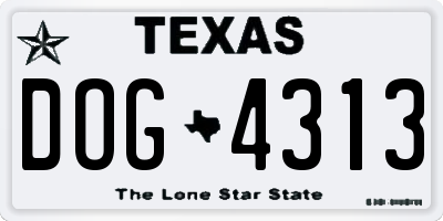 TX license plate DOG4313