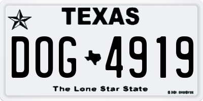TX license plate DOG4919