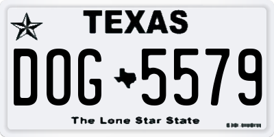 TX license plate DOG5579