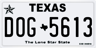 TX license plate DOG5613