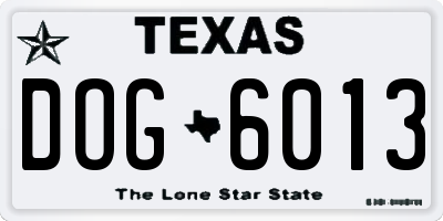 TX license plate DOG6013