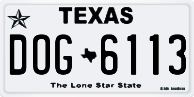 TX license plate DOG6113