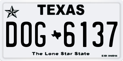 TX license plate DOG6137