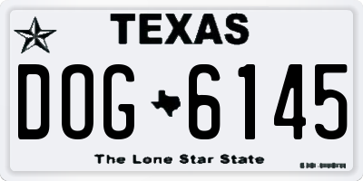 TX license plate DOG6145