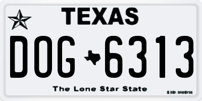 TX license plate DOG6313