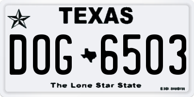 TX license plate DOG6503