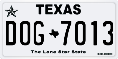 TX license plate DOG7013