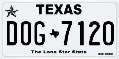 TX license plate DOG7120