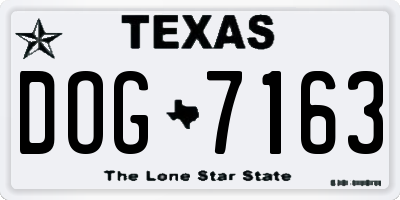 TX license plate DOG7163