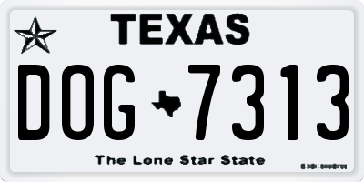 TX license plate DOG7313