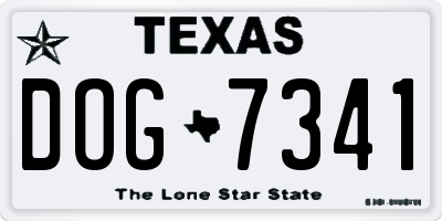 TX license plate DOG7341