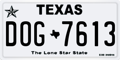 TX license plate DOG7613