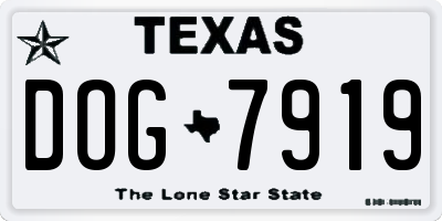 TX license plate DOG7919