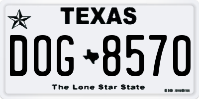 TX license plate DOG8570