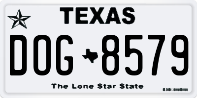 TX license plate DOG8579