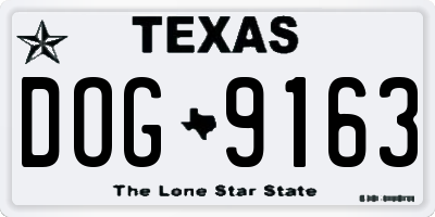 TX license plate DOG9163