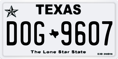 TX license plate DOG9607