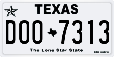 TX license plate DOO7313
