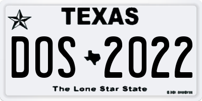 TX license plate DOS2022