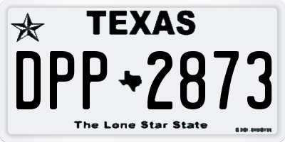 TX license plate DPP2873