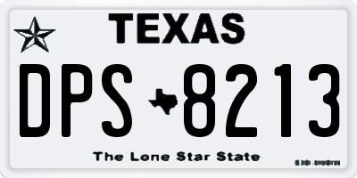 TX license plate DPS8213