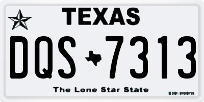 TX license plate DQS7313