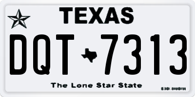 TX license plate DQT7313