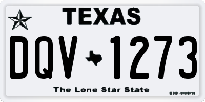 TX license plate DQV1273