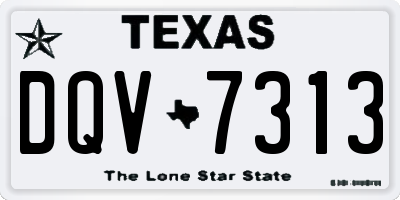 TX license plate DQV7313