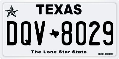 TX license plate DQV8029