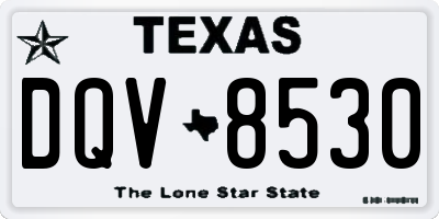 TX license plate DQV8530