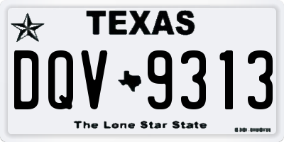 TX license plate DQV9313